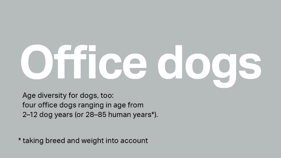 Generation mix - office dogs at Ergon Generation mix - office dogs at Ergon