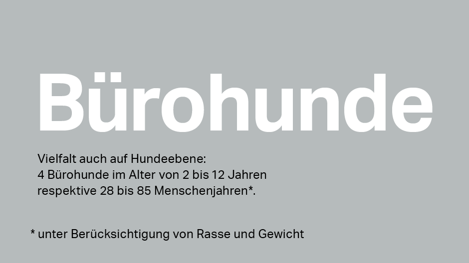 Generationenvielfalt - Bürohunde bei Ergon Generationenvielfalt - Bürohunde bei Ergon